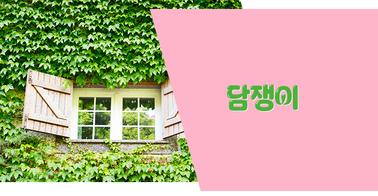 �̰� �ִ� �Ϸ�